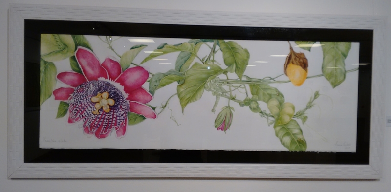 quadro em aquarela com a flor do maracuja pintada watercolor frame with painted a passion flower