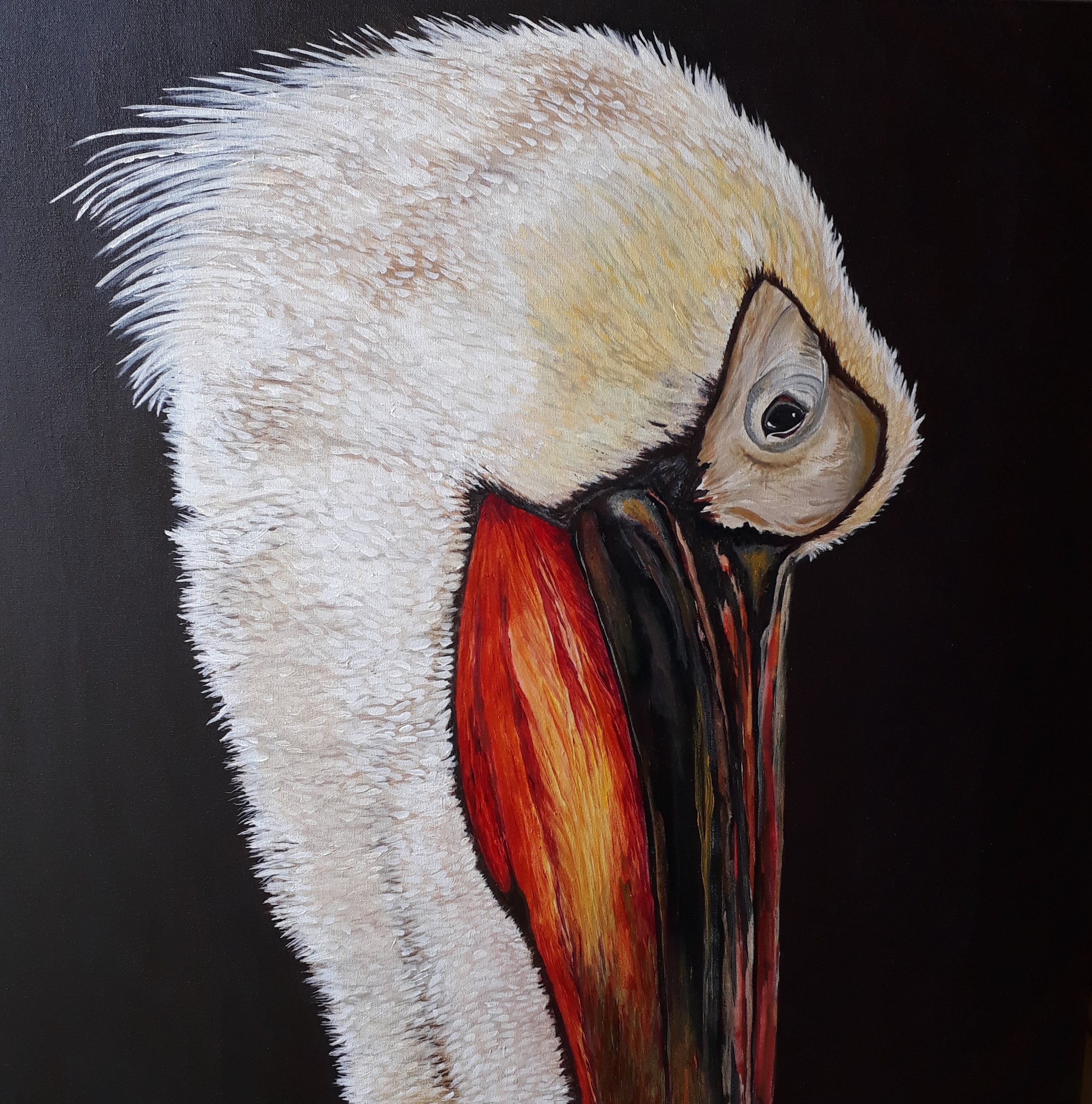 pelicano pintado com tinta acrilica pelican painting with acrylic
