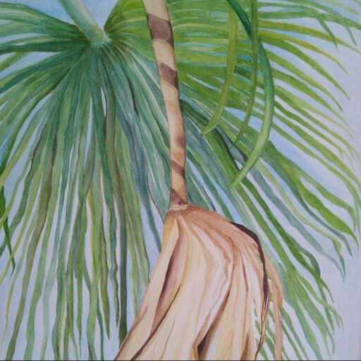 folhas de uma palmeira em aquarela watercolor leaves