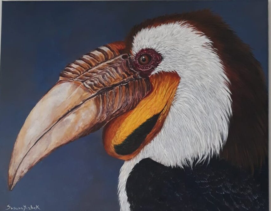 hornbill painting